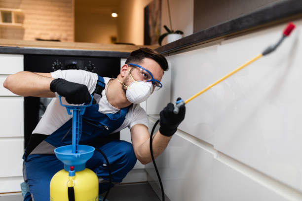  Alexandria, MN Pest Control Pros