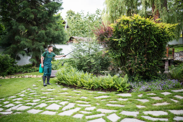 Best Wasp Removal Services  in Alexandria, MN