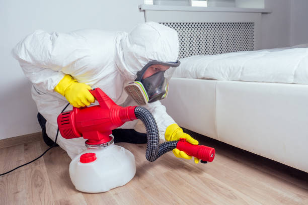 Pest Prevention Services in Alexandria, MN