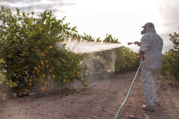 Best Exterminator Services  in Alexandria, MN