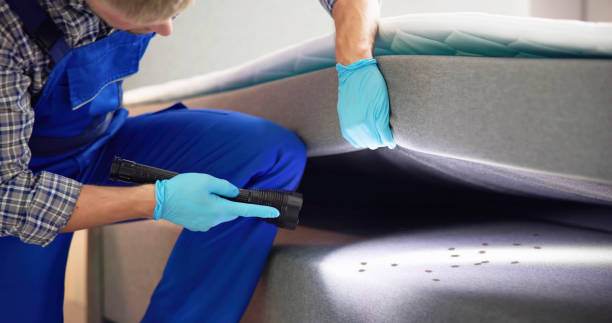 Best Affordable Pest Control Services  in Alexandria, MN